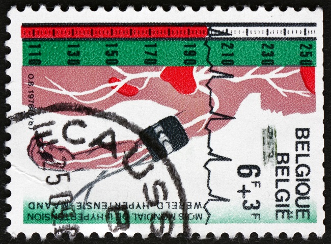 EUROPEAN CARDIOLOGY SOCIETY GUIDELINES HYPERTENSION visual data 5